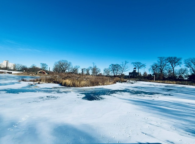 A stroll through Lincoln Park